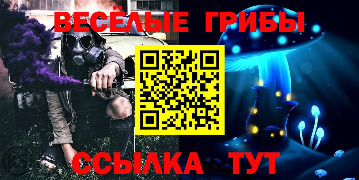 Псилоцибиновые грибы GOLDEN TEACHER Осинники