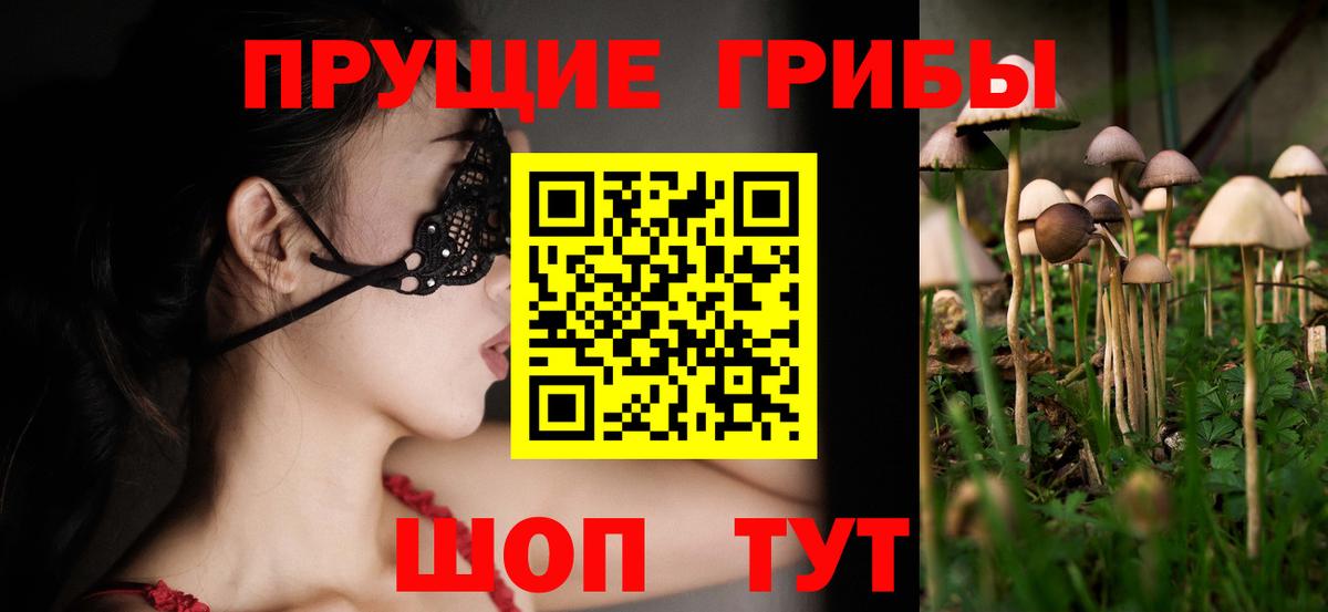 Галлюциногенные грибы ЛСД  Вход с VPN  сколько стоит  Осинники 